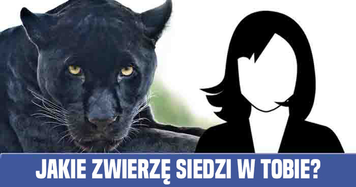 jakie-zwierze-siedzi-w-tobie-quiz
